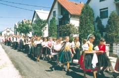 Organizácie a súbory
