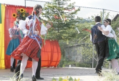 Organizácie a súbory