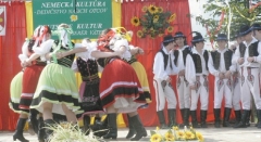 Organizácie a súbory