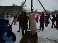 Fašiangová zabíjačka a posedenie -18.2.2012