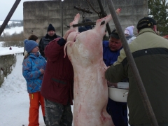 Fašiangová zabíjačka a posedenie -18.2.2012
