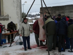 Fašiangová zabíjačka a posedenie -18.2.2012