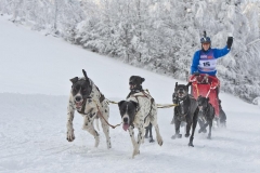 Medzinárodné majstrovstvá Slovenska v psích záprahoch 31.1.2015 -1.2.2015 – fotografia 2