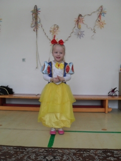 Fotografia: Karneval v MŠ