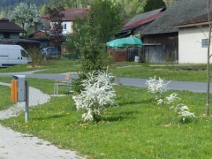 Obec Chmeľnica zrealizovala  Projekt  "Chmeľnica – Revitalizácia centra obce“ – fotografia 19