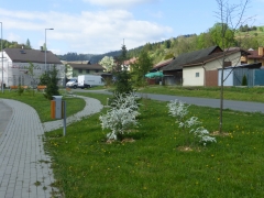 Obec Chmeľnica zrealizovala  Projekt  "Chmeľnica – Revitalizácia centra obce“ – fotografia 28