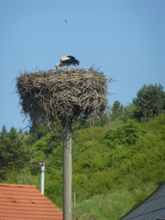 Chmeľničania s prechodným pobytom – fotografia 6