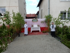 Fotografia: Božie telo - oltáriky-procesia