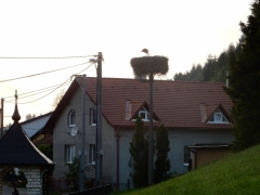 Fotografia: Božie telo - oltáriky-procesia