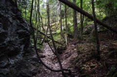 Úžasný výlet v Slovenskom raji – fotografia 30