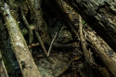 Úžasný výlet v Slovenskom raji – fotografia 31