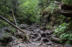 Úžasný výlet v Slovenskom raji – fotografia 40