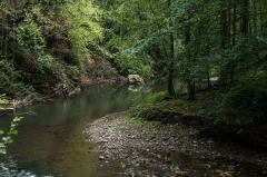 Úžasný výlet v Slovenskom raji – fotografia 19
