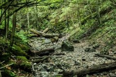 Úžasný výlet v Slovenskom raji – fotografia 1