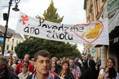 Príďte 20. septembra 2015 do Bratislavy OSLAVOVAŤ život! – fotografia 1