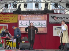 XXIV. Ľubovniansky jarmok 24.9. - 27. 9.2015 – fotografia 17