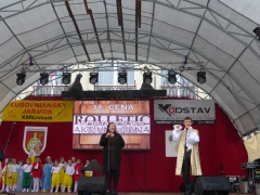 XXIV. Ľubovniansky jarmok 24.9. - 27. 9.2015 – fotografia 18