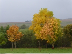 Jeseň 2015 v Chmeľnici – fotografia 4
