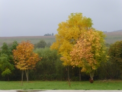 Jeseň 2015 v Chmeľnici – fotografia 5