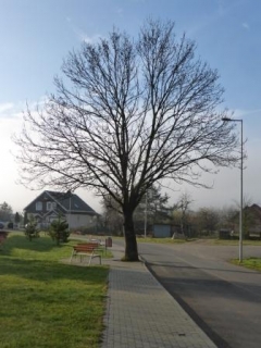 Počasie drobným úpravám v obci praje – fotografia 3