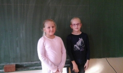 Vŕbová píšťalka 2015 – fotografia 6