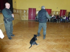 Trojmesačný policajný pes Condor sa stal miláčikom publika – fotografia 13