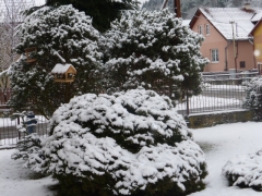 Výkyvy počasia. Včera slnečno a dnes sneh – fotografia 3