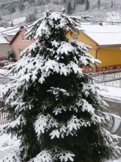 Výkyvy počasia. Včera slnečno a dnes sneh – fotografia 19