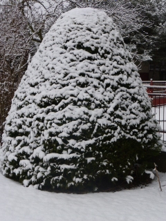 Výkyvy počasia. Včera slnečno a dnes sneh – fotografia 18