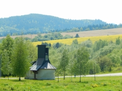 Žlté májové lány v okolí Chmeľnice lahodia oku – fotografia 9