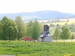 Žlté májové lány v okolí Chmeľnice lahodia oku – fotografia 4