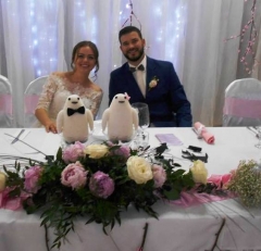 Symbolom mladomanželov Filipa a Mary Poníkovcov sa stali tučniaky