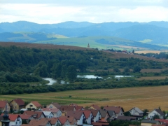 Posvätenie bylín a kvetov je príležitosť byť v blízkosti našej Matky – fotografia 14