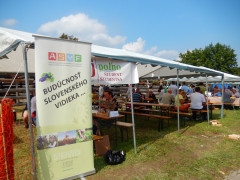 Sulinka na Agrokomplexe 2016 – fotografia 1