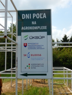 Sulinka na Agrokomplexe 2016 – fotografia 14
