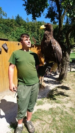 Kristián Foľvarský: “Sokoliarstvo, nie je to len koníček, ale je to aj môj životný štýl.“ – fotografia 1