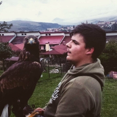 Kristián Foľvarský: “Sokoliarstvo, nie je to len koníček, ale je to aj môj životný štýl.“ – fotografia 6