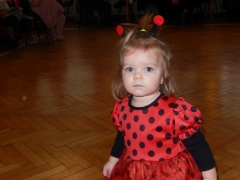 OBECNÝ KARNEVAL 2017 – fotografia 38