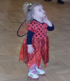 OBECNÝ KARNEVAL 2017 – fotografia 26