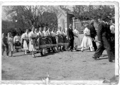Über Hopgarten – fotografia 13