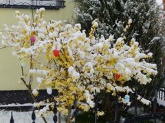 Zasnežený 19. aprílový deň 2017 – fotografia 4