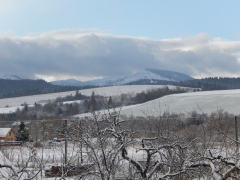 Chmeľnica v bielom – fotografia 6