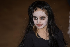 OBECNÝ KARNEVAL 2018 cez objektív Viliama Klimka – fotografia 23