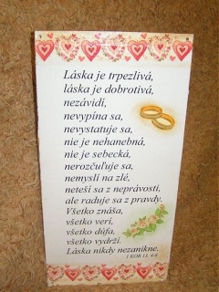 Mladomanželom Daniel Jose  a Silvia Ferreira srdečne blahoželáme! – fotografia 11