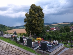 Vyčistenie obecného cintorína od krovín – fotografia 12