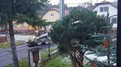 ASFALTOVANIE CESTY IBV PRI TRATI – fotografia 16