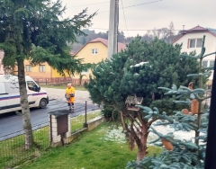 ASFALTOVANIE CESTY IBV PRI TRATI – fotografia 60