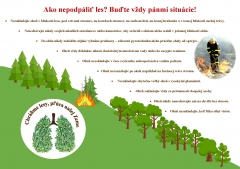 Opatrenia na zabezpečenie ochrany lesov pred požiarmi v roku 2025 – fotografia 2