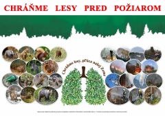Opatrenia na zabezpečenie ochrany lesov pred požiarmi v roku 2025 – fotografia 1