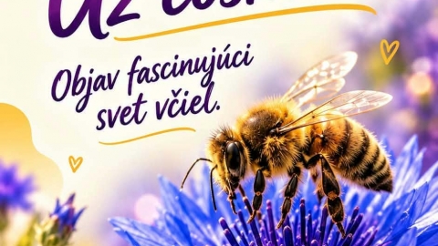 Šarišský včelársky festival dňa 17.10.2026 - pozvánka